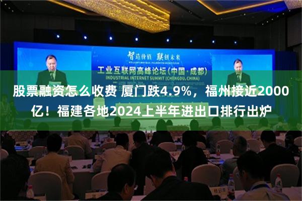 股票融资怎么收费 厦门跌4.9%，福州接近2000亿！福建各地2024上半年进出口排行出炉