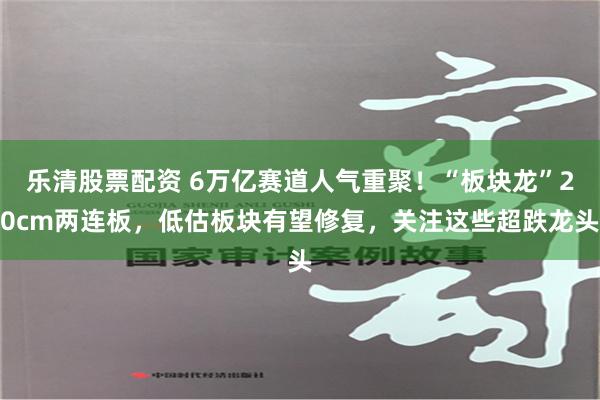 乐清股票配资 6万亿赛道人气重聚！“板块龙”20cm两连板，低估板块有望修复，关注这些超跌龙头