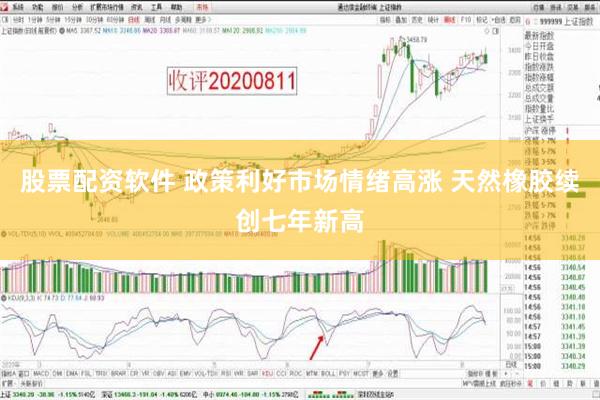 股票配资软件 政策利好市场情绪高涨 天然橡胶续创七年新高