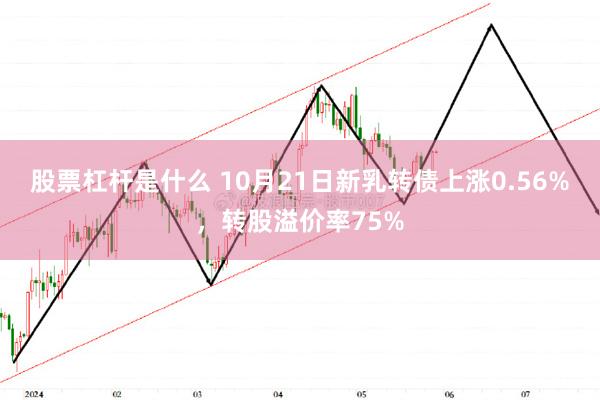 股票杠杆是什么 10月21日新乳转债上涨0.56%，转股溢价率75%