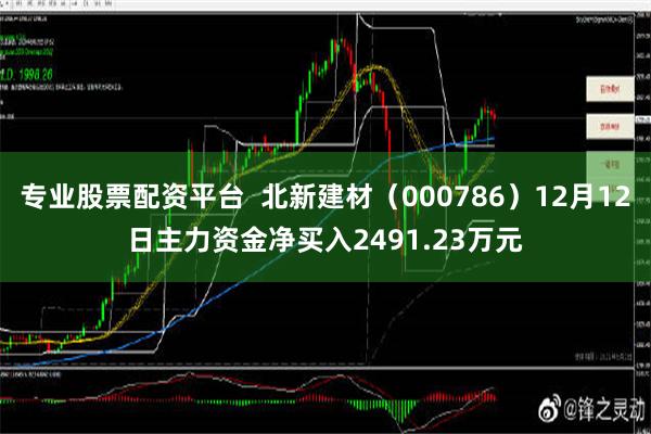 专业股票配资平台  北新建材（000786）12月12日主力资金净买入2491.23万元