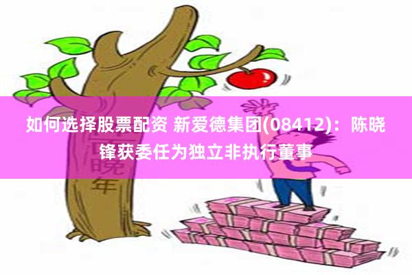 如何选择股票配资 新爱德集团(08412)：陈晓锋获委任为独立非执行董事