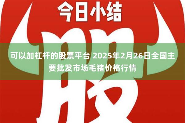 可以加杠杆的股票平台 2025年2月26日全国主要批发市场毛猪价格行情